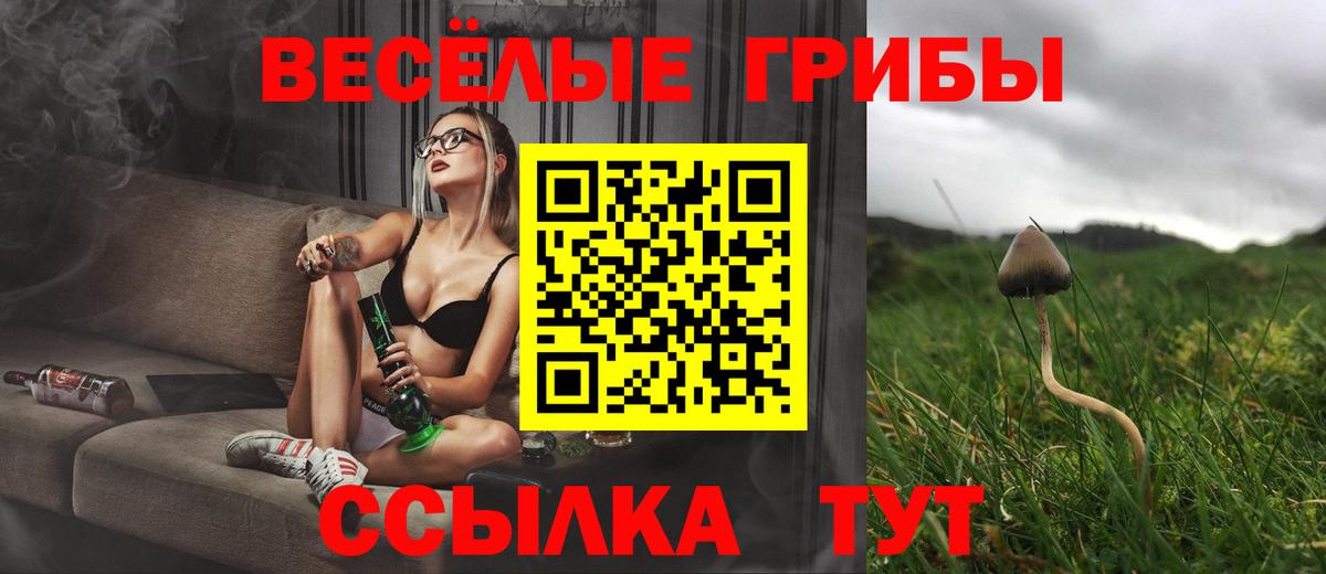 Псилоцибиновые грибы мухоморы  Вход с VPN  Шелехов  Псилоцибиновые грибы мухоморы 