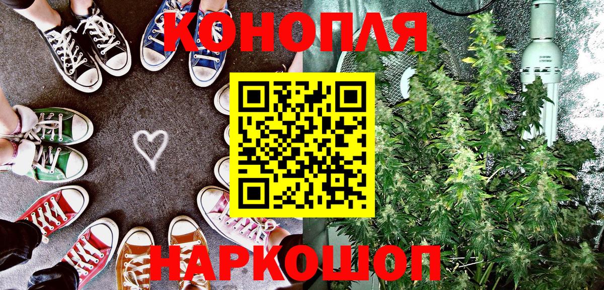 Канабис OG Kush Шелехов